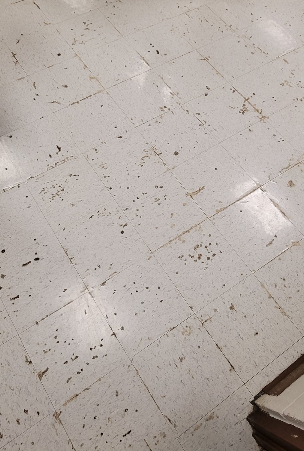 Despite being refinished over the summer in 2020, the band and choir hall floor at Royal Junior High shows damage from moisture. Staff said the air conditioning units in the building that pull excess moisture from the air are no longer working efficiently which causes problems with moisture damage throughout the campus.